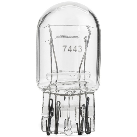 T20 2F TRANSPARENTE GAUSS