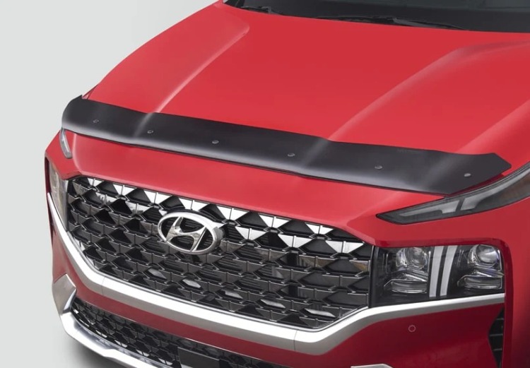 BUGFLECTOR SANTA FE 2019+